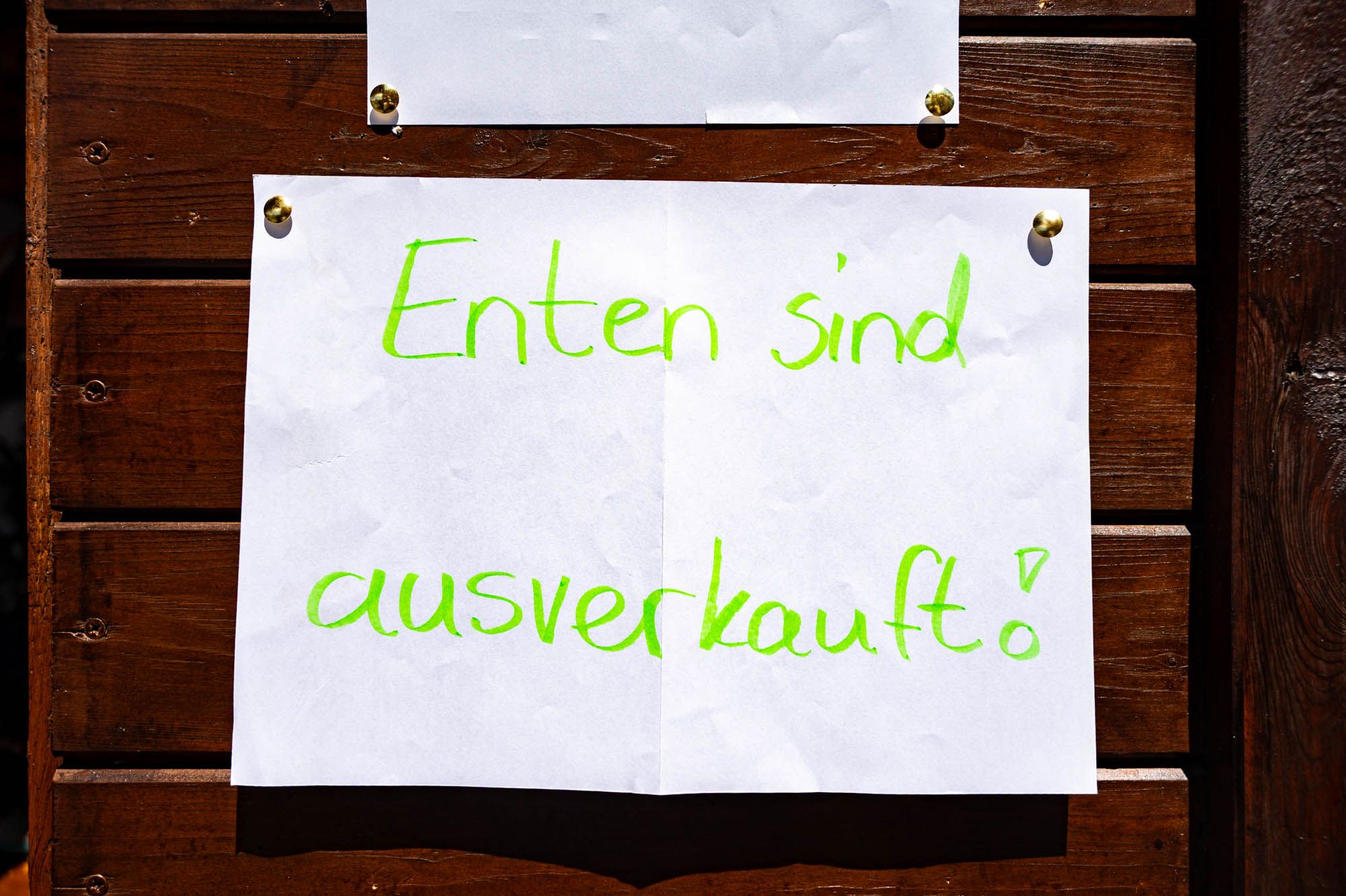 1. Tholmer Entenrennen | 28.06.2025 | Stadtfest »100 Jahre Stadtrecht« Thalheim/Erzgebirge