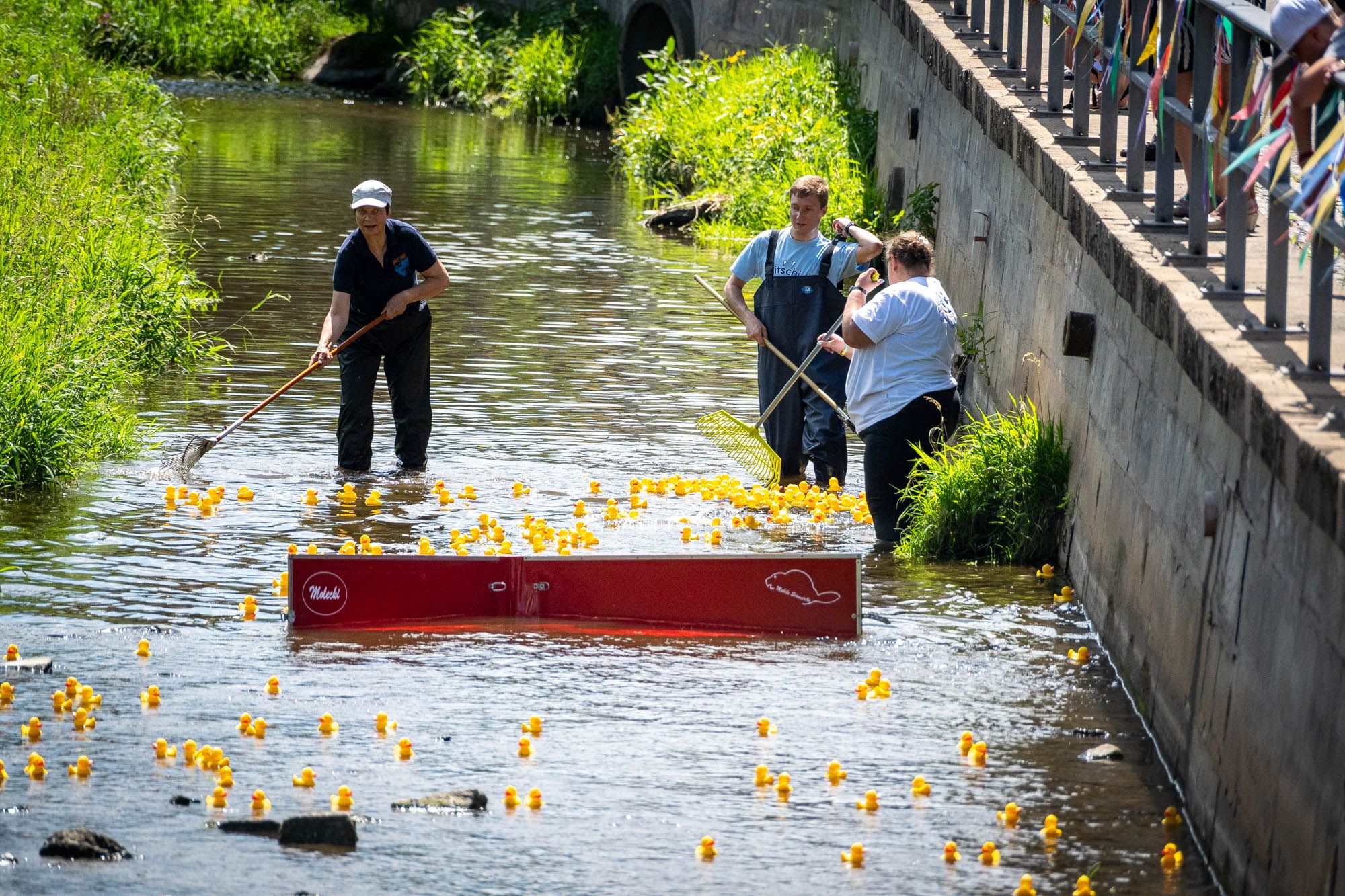 1. Tholmer Entenrennen | 28.06.2025 | Stadtfest »100 Jahre Stadtrecht« Thalheim/Erzgebirge