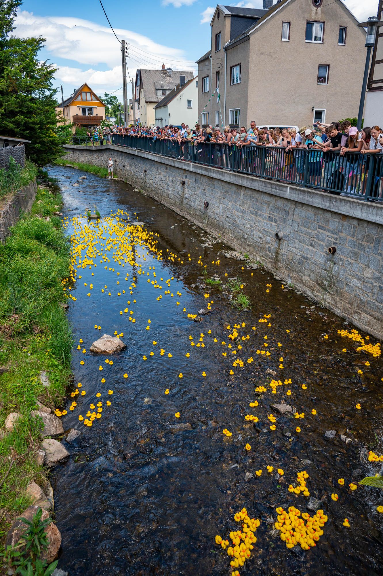 1. Tholmer Entenrennen | 28.06.2025 | Stadtfest »100 Jahre Stadtrecht« Thalheim/Erzgebirge