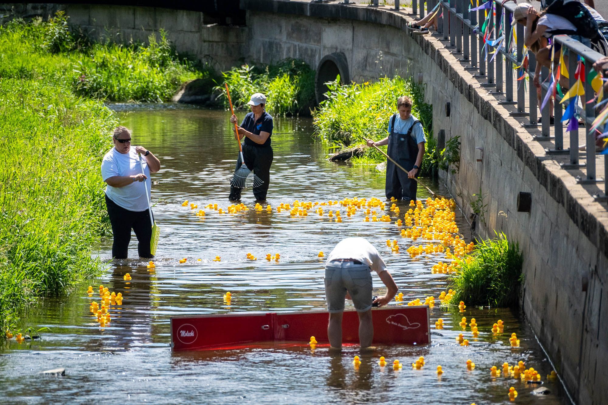 1. Tholmer Entenrennen | 28.06.2025 | Stadtfest »100 Jahre Stadtrecht« Thalheim/Erzgebirge