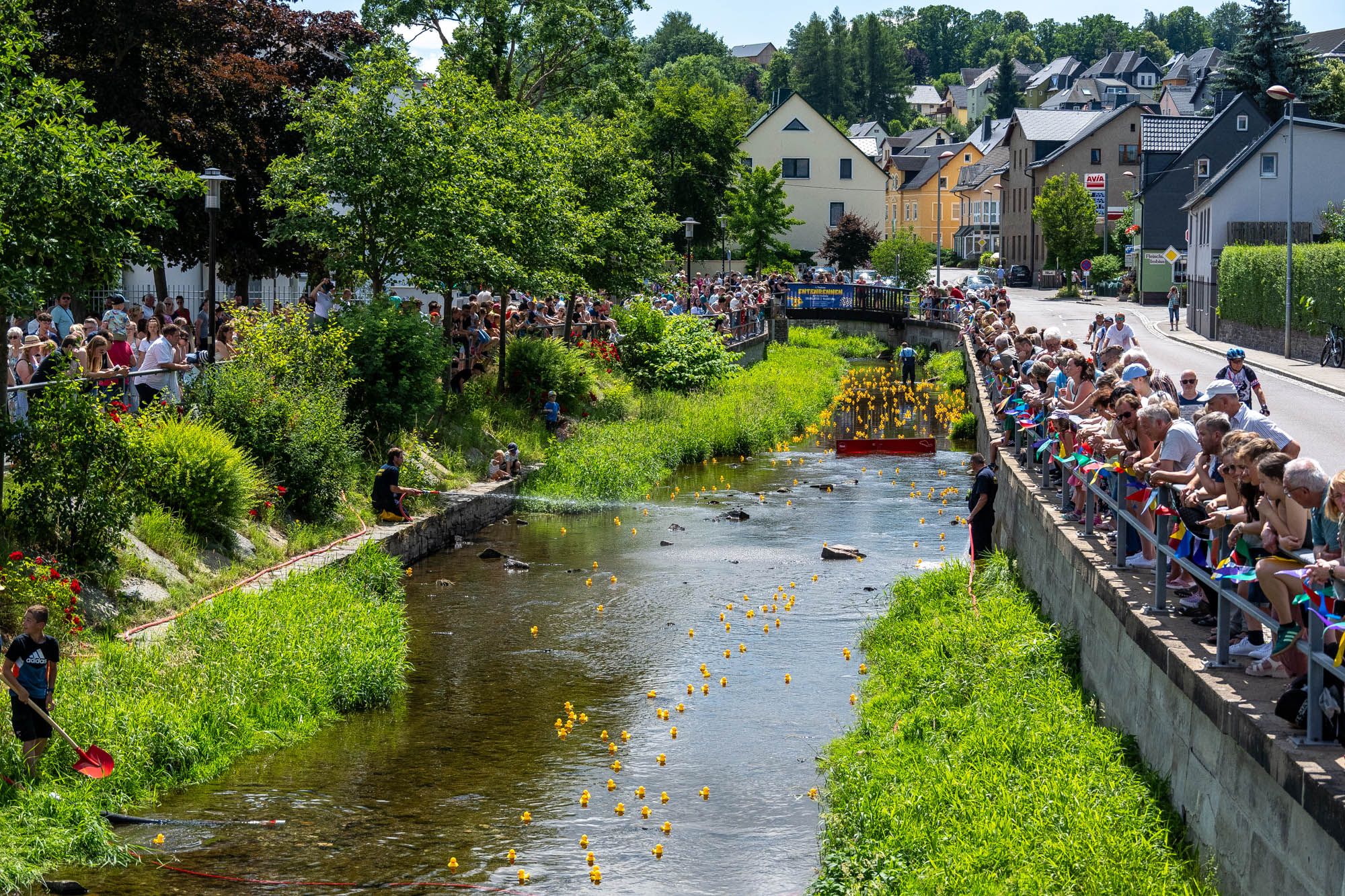 1. Tholmer Entenrennen | 28.06.2025 | Stadtfest »100 Jahre Stadtrecht« Thalheim/Erzgebirge